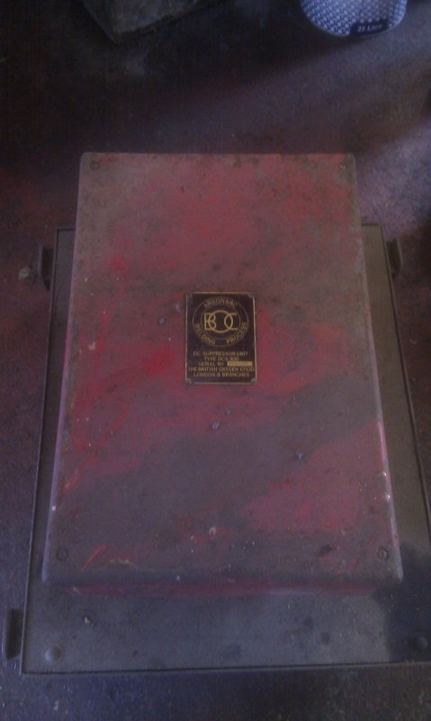 IMAG0317.jpg