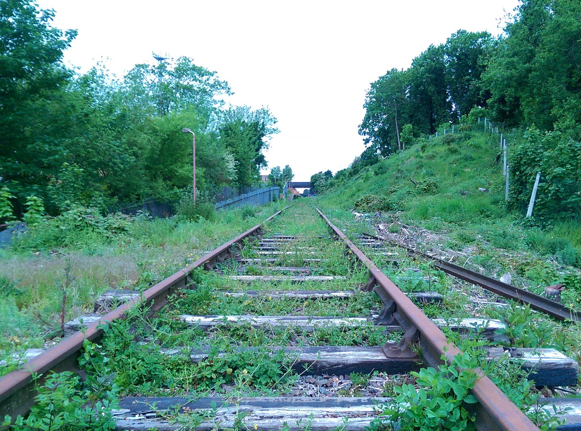 IMAG2802.jpg