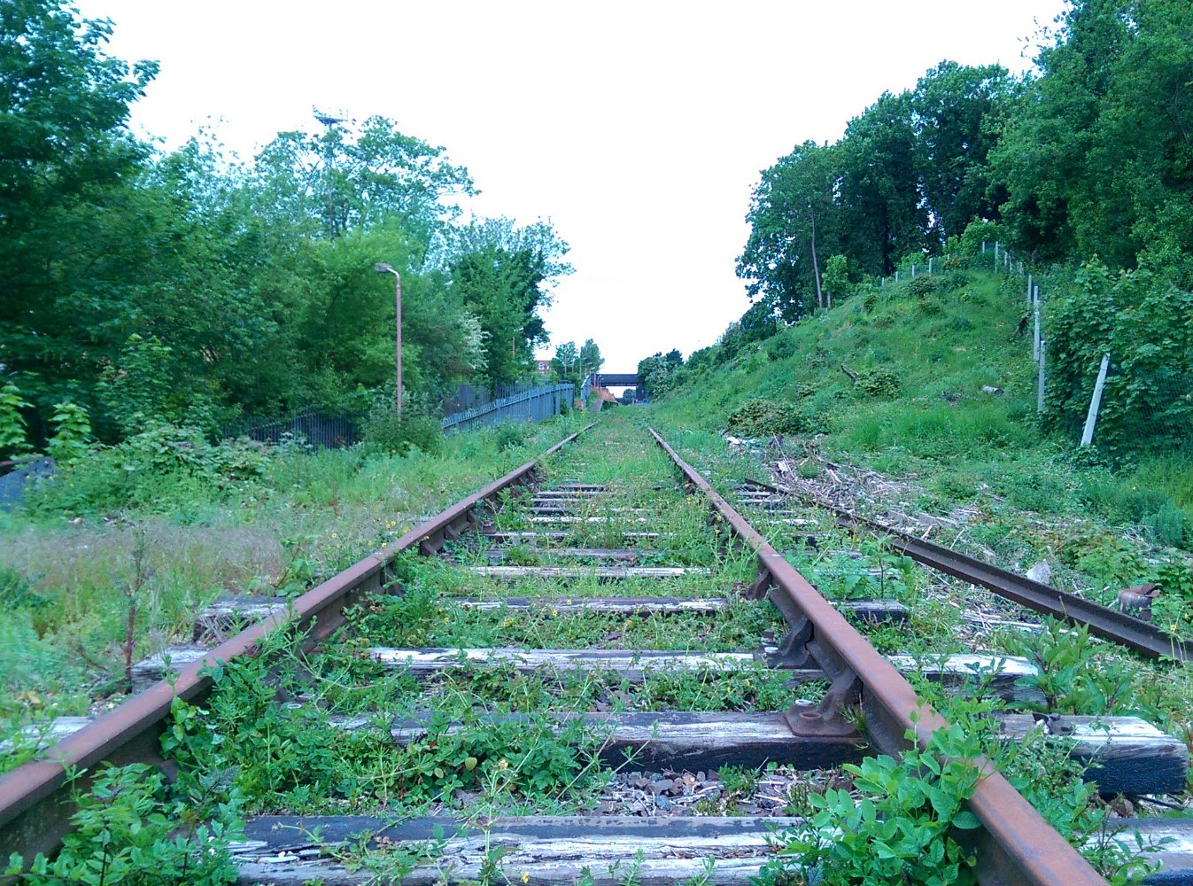 IMAG2802.jpg