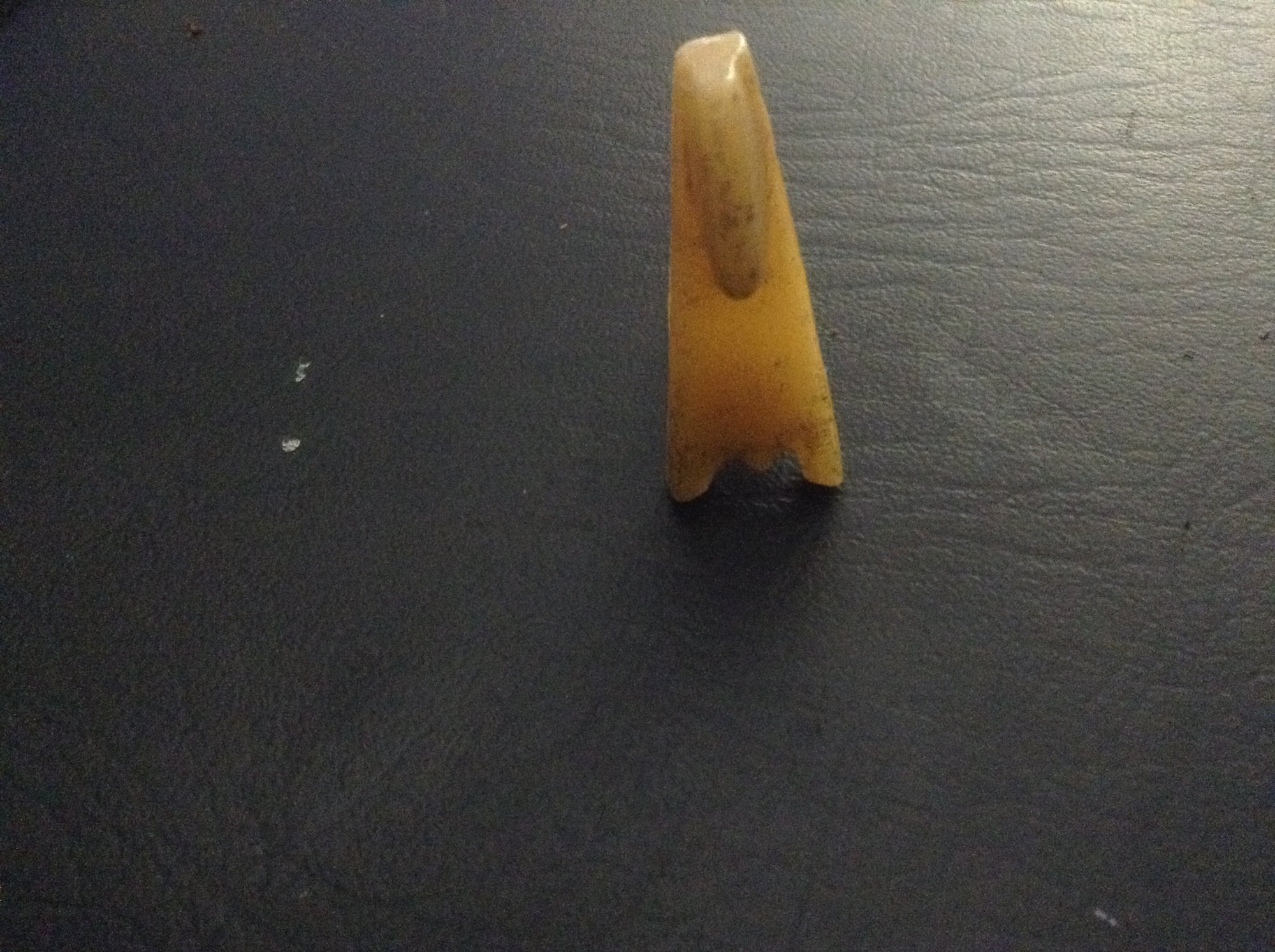 image.jpeg