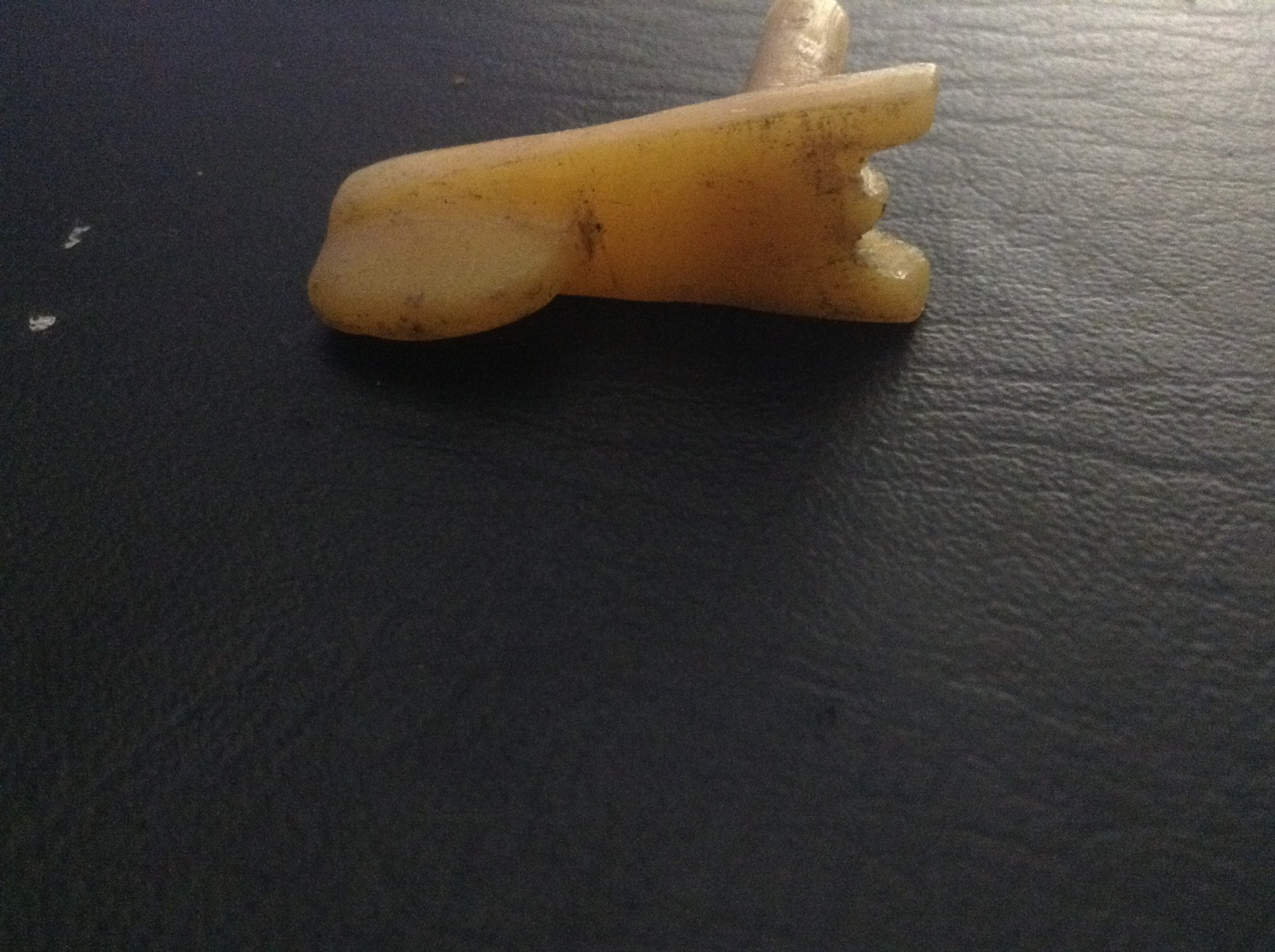 image.jpeg