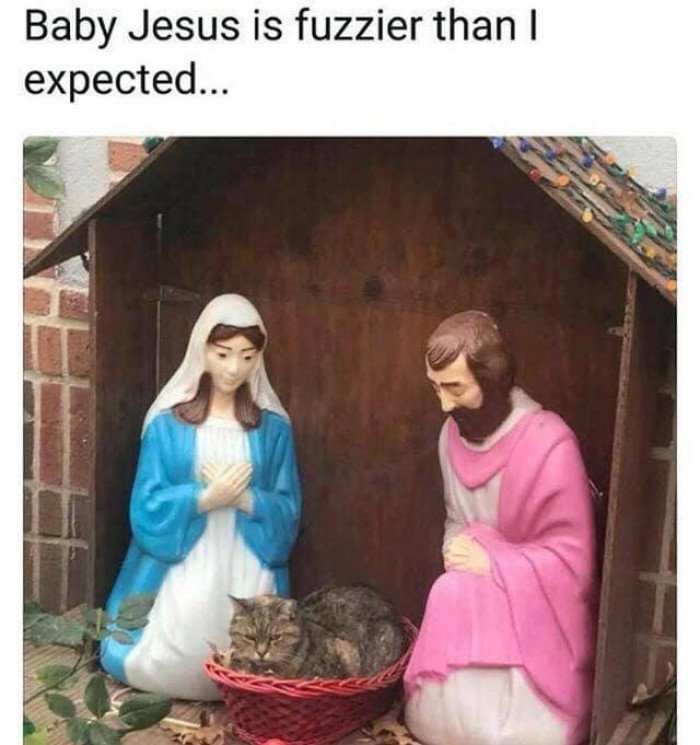 image0.jpeg