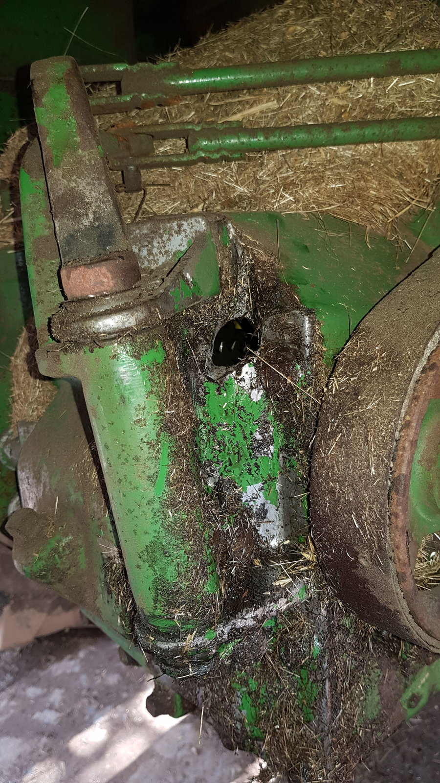 IMG-20190819-WA0004.jpeg
