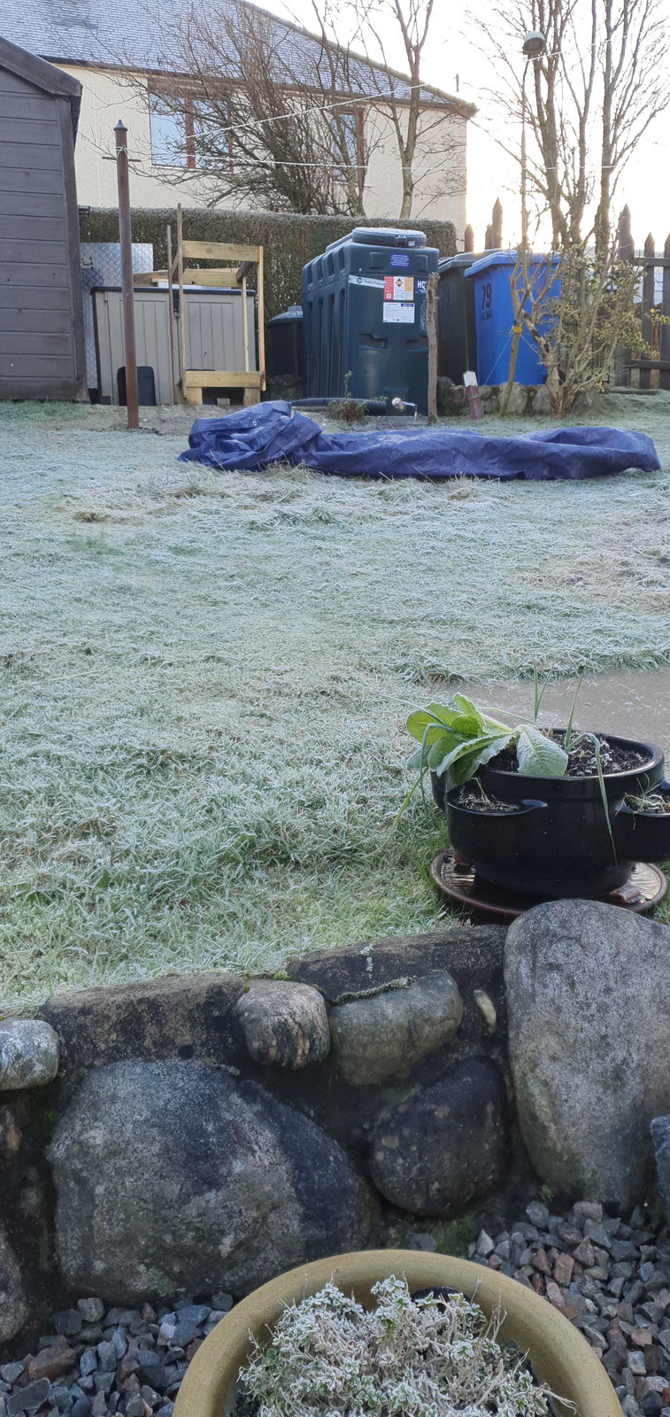 IMG-20210112-WA0002.jpeg