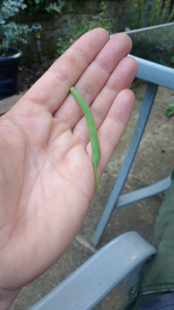 IMG-20220708-WA0007.jpeg