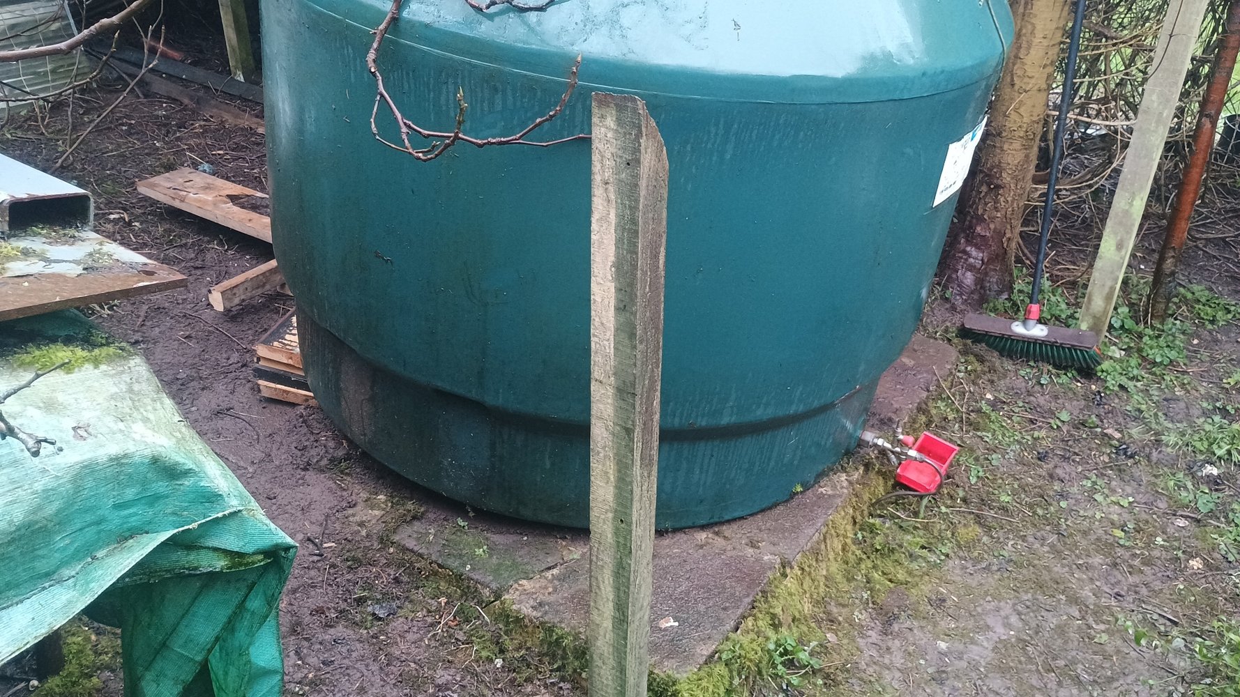 IMG-20250208-WA0011.jpeg