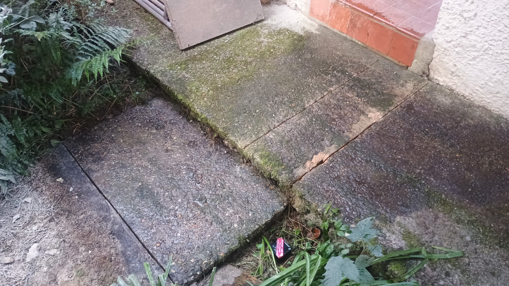 IMG-20250726-WA0020.jpeg