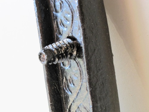 IMG1.jpg
