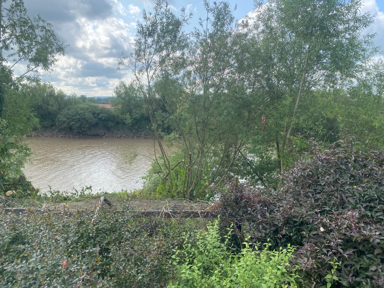 IMG_0523.jpeg