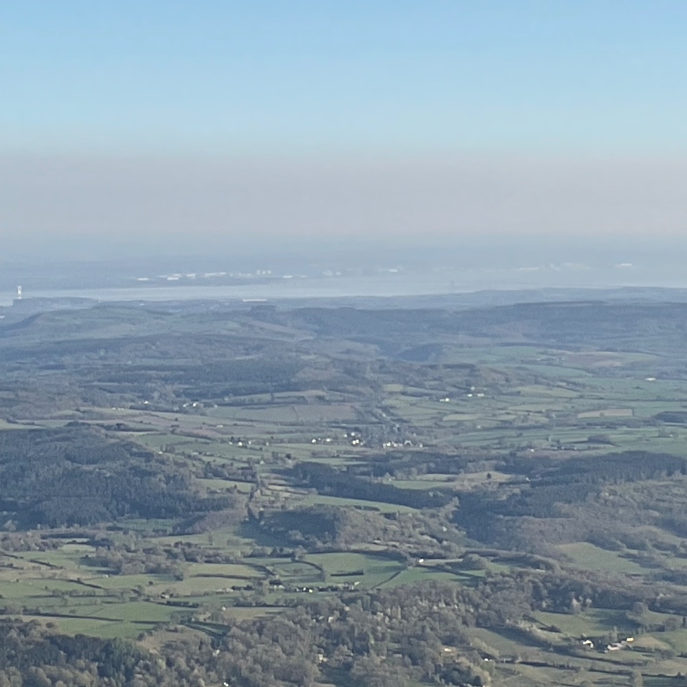 IMG_0665.jpeg IMG_0665.jpeg