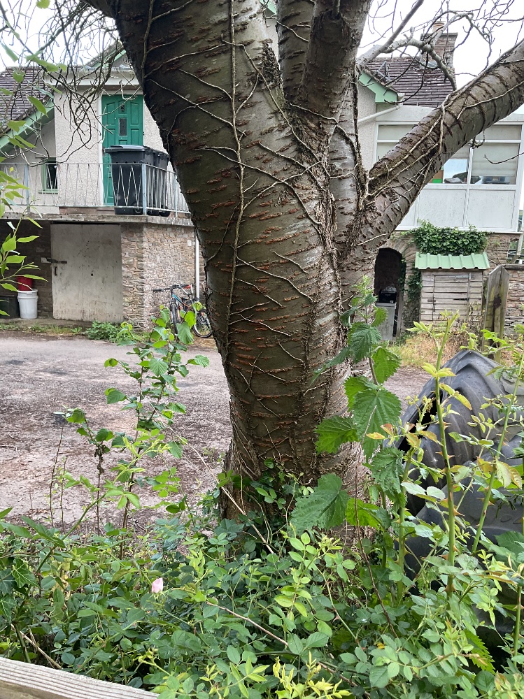 IMG_0847.jpeg