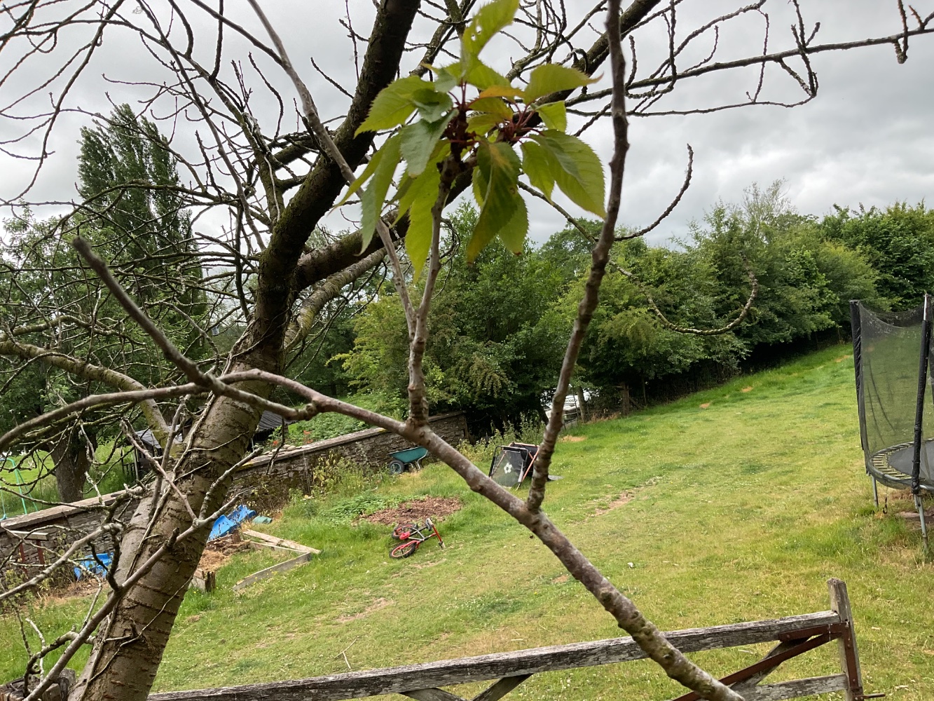 IMG_0856.jpeg
