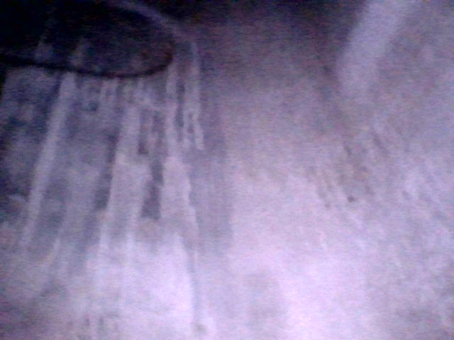 IMG_1001.jpeg