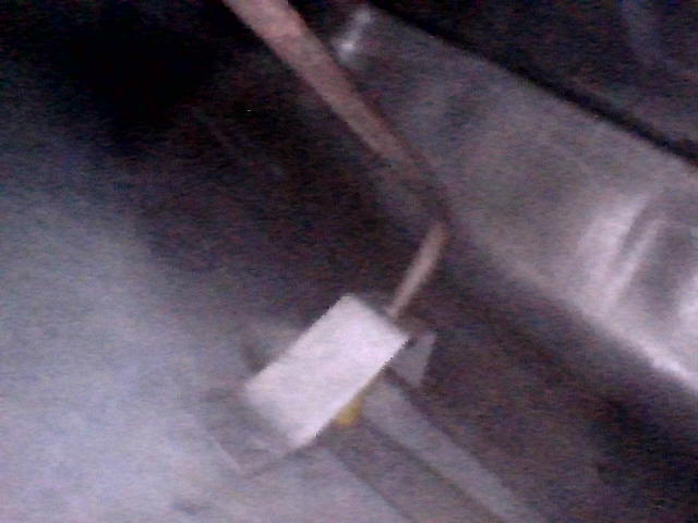 IMG_1003.jpeg