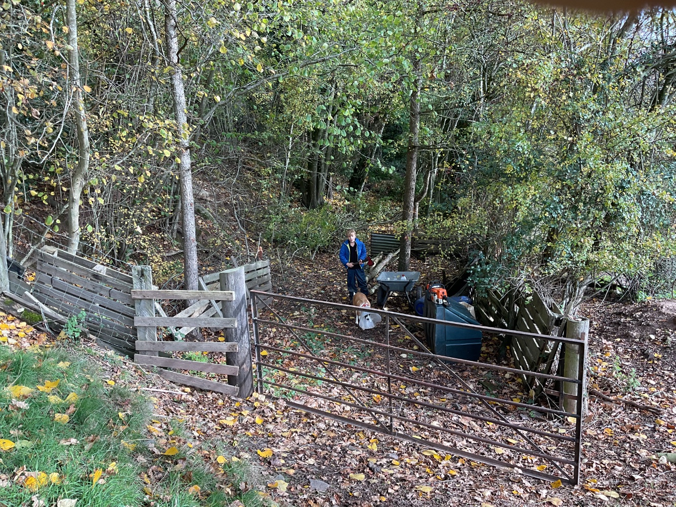 IMG_1361.jpeg IMG_1361.jpeg