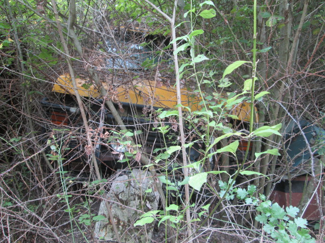 IMG_1846.JPG