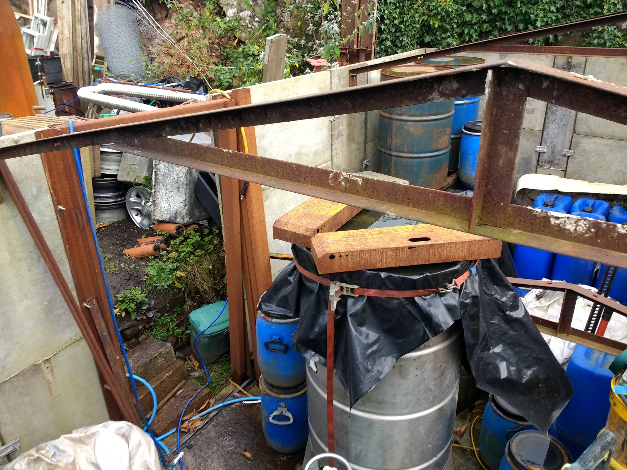 IMG_20201109_123737376.jpg