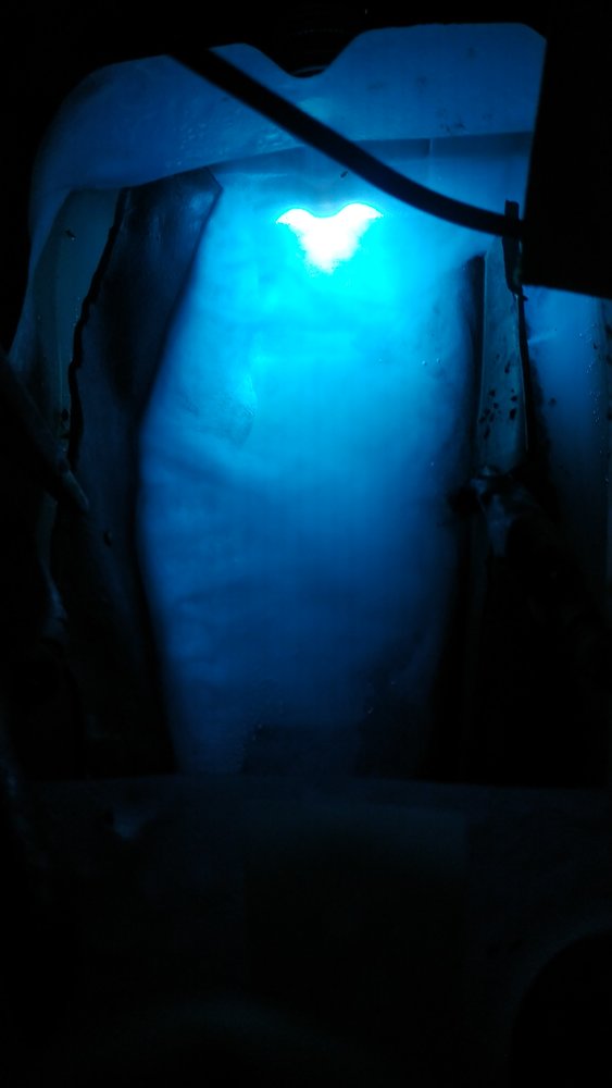 IMG_20211025_202815.jpg