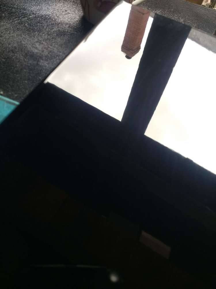 IMG_20220704_111120130.jpg