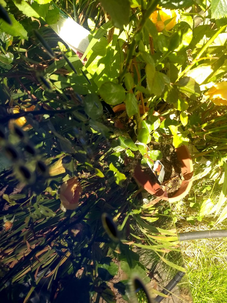 IMG_20220825_120114896_HDR.jpg