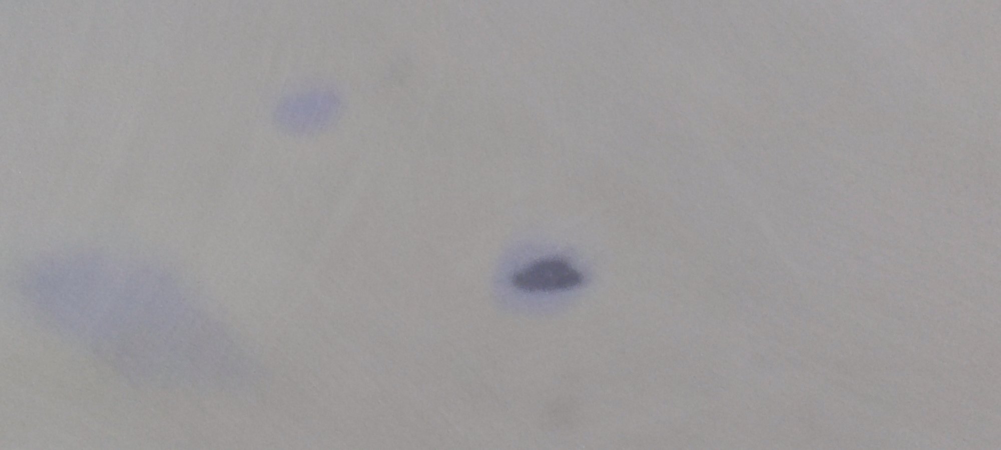 IMG_20221013_145055.jpg