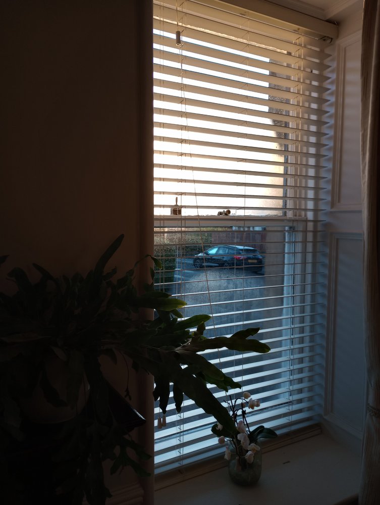 IMG_20221212_144709766_HDR.jpg