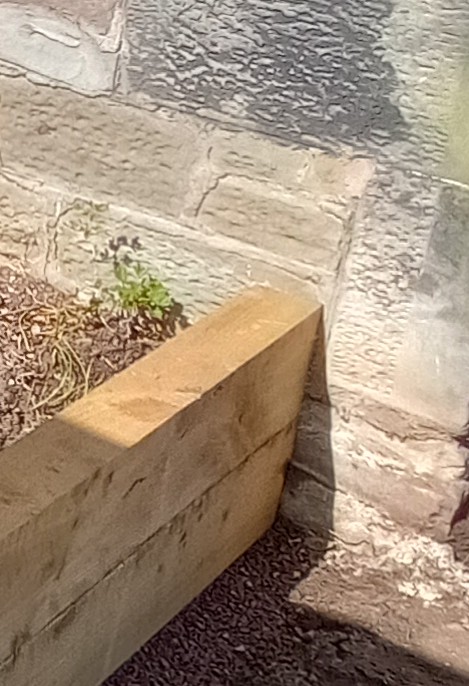IMG_20230413_143447210_HDR~2.jpg