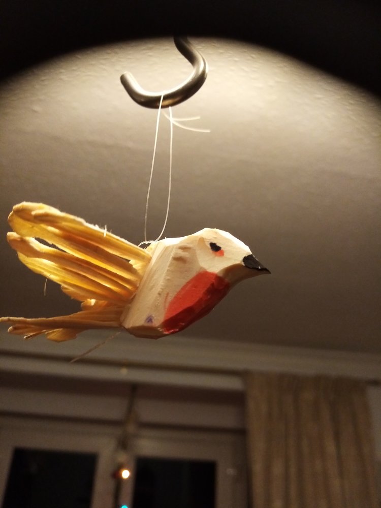 IMG_20231216_233955.jpg