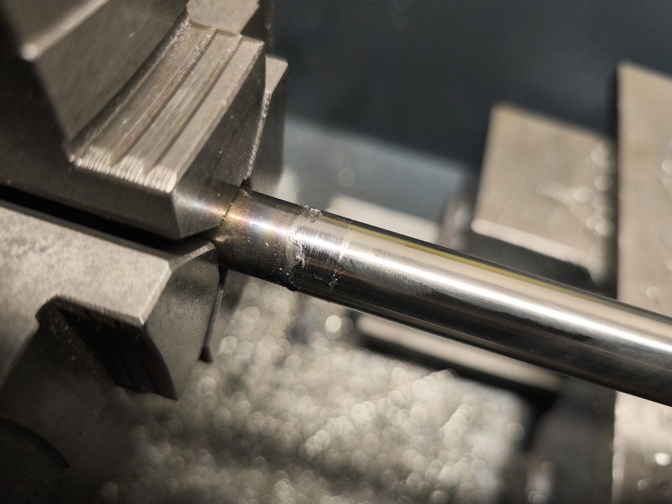 IMG_20241031_125604 (1).jpg