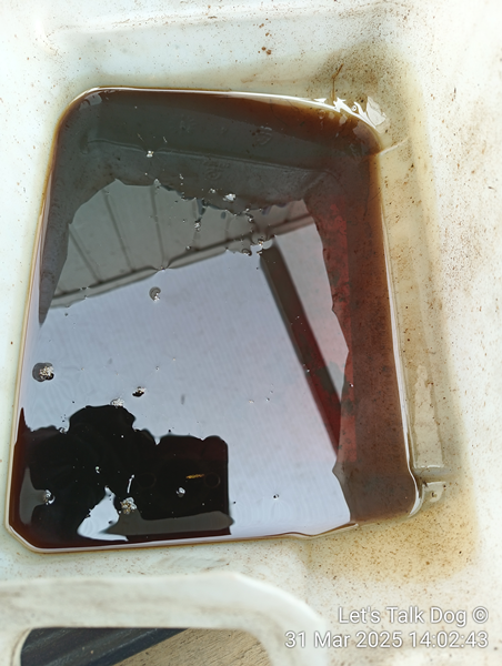 IMG_20250331_140243.png