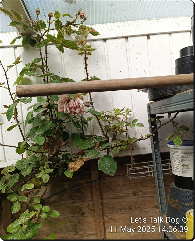 IMG_20250511_140639.png