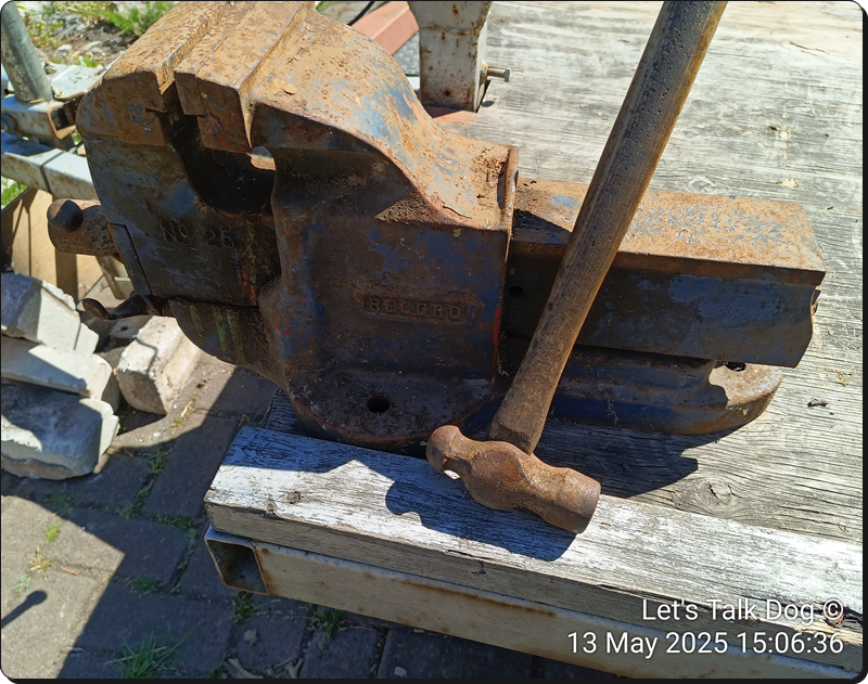 IMG_20250513_150636.png