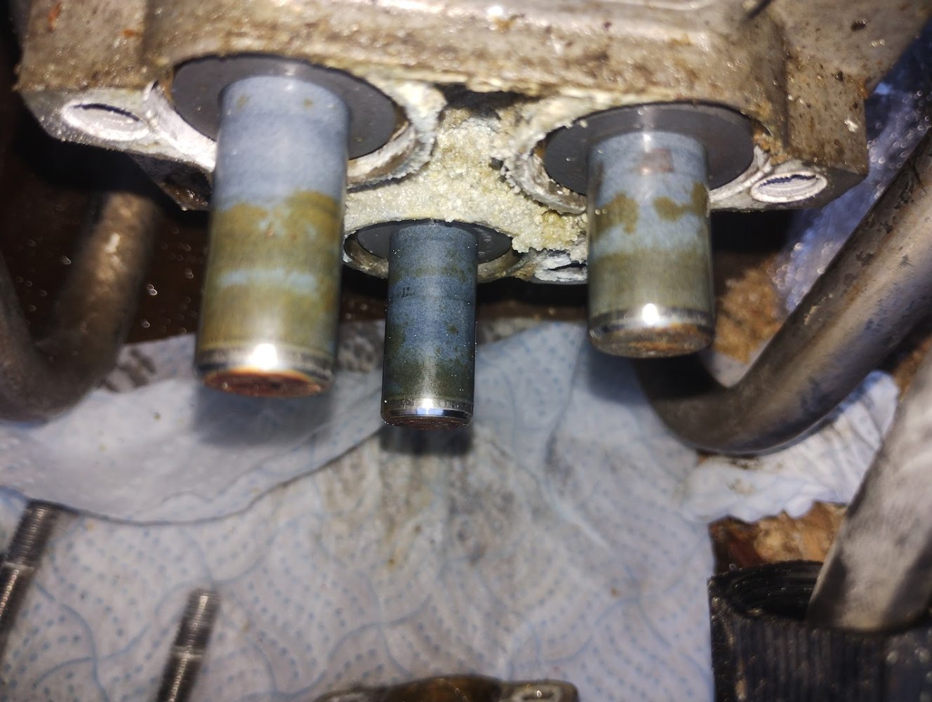 IMG_20260222_151140807 (1).jpg