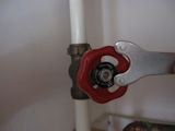 IMG_2523s.jpg