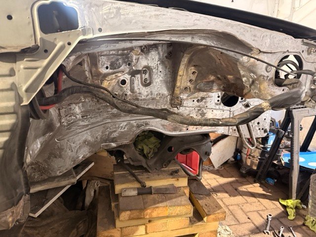 IMG_2801 Medium.jpeg