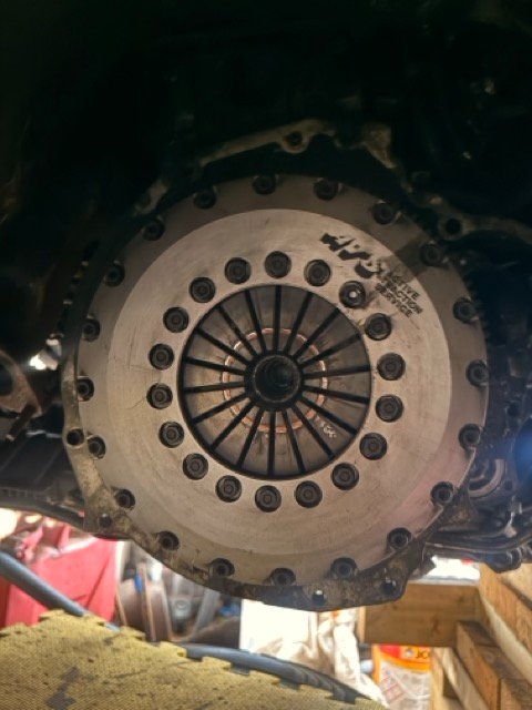 IMG_2856 Medium.jpeg