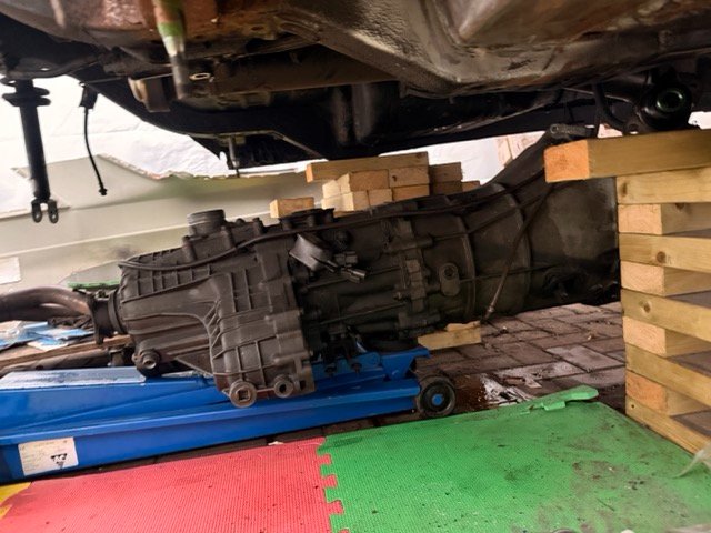 IMG_2857 Medium.jpeg