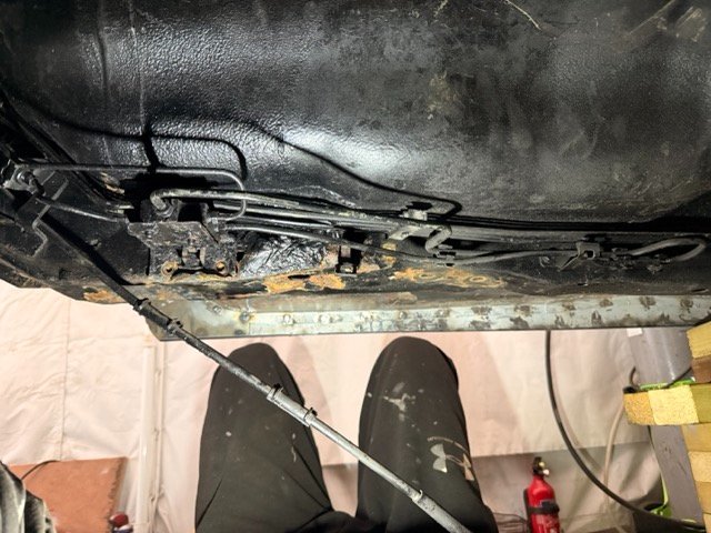 IMG_2860 Medium.jpeg