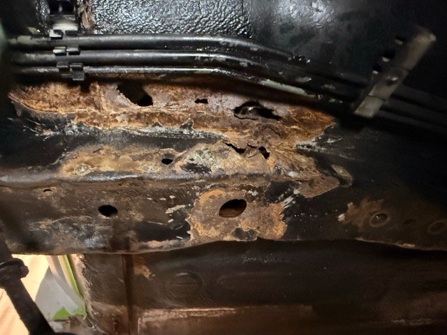 IMG_2863 Medium.jpeg