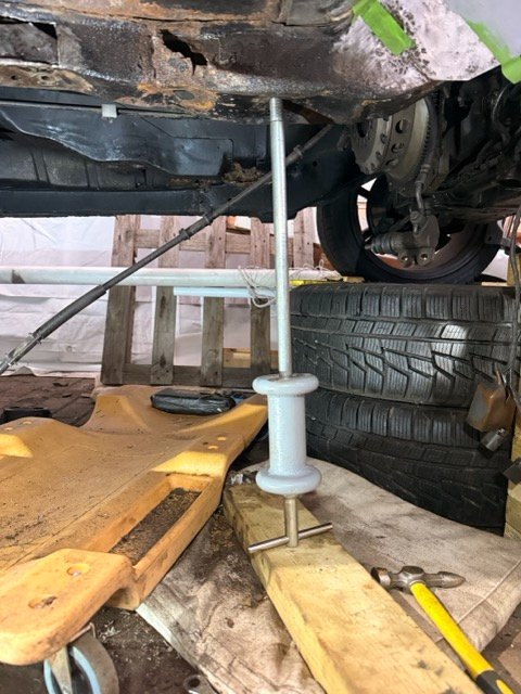 IMG_2874 Medium.jpeg