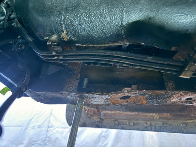 IMG_2875 Medium.jpeg