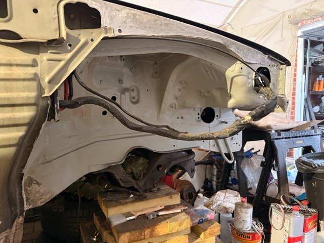 IMG_2925 Medium.jpeg