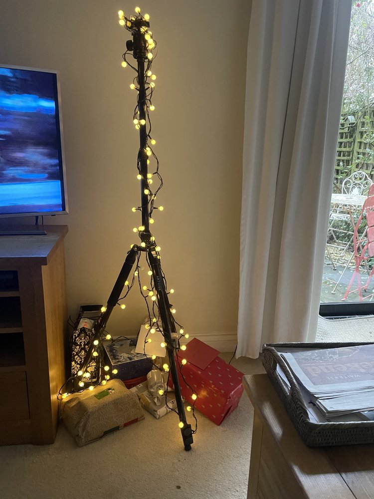IMG_4111.jpeg