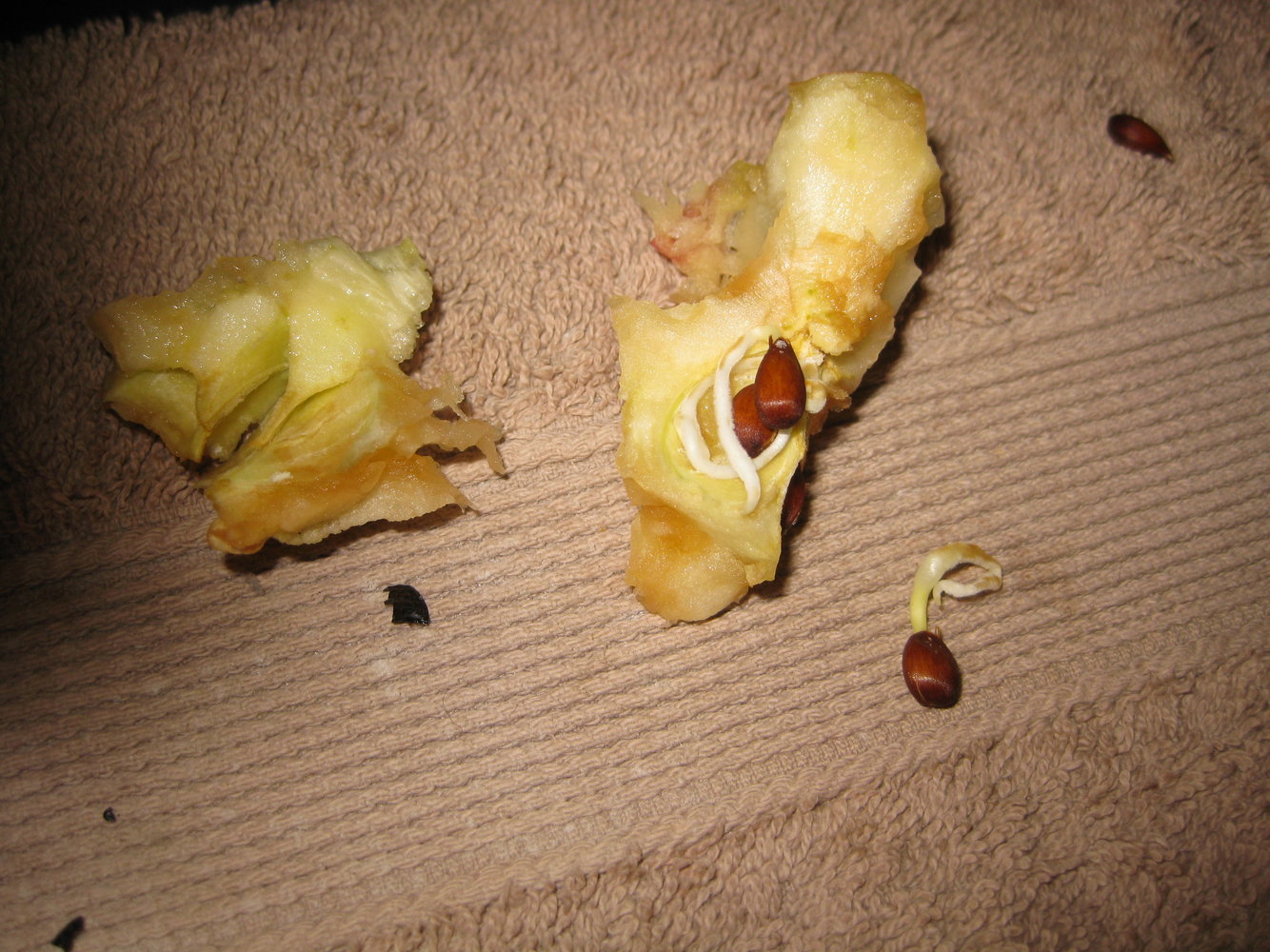 IMG_8510.JPG