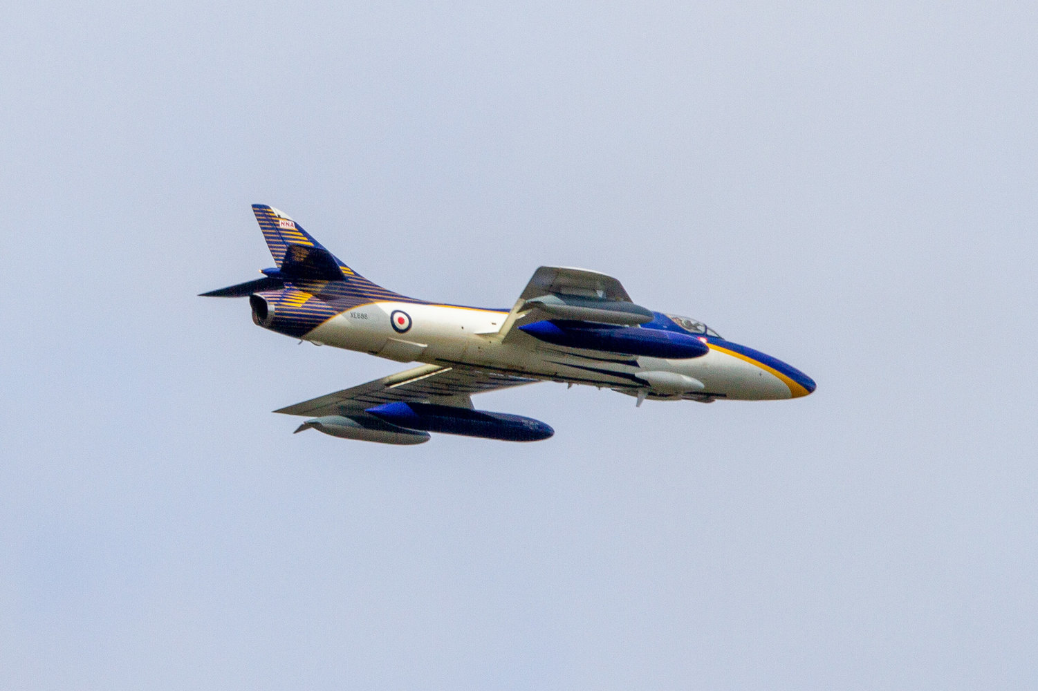 IMG_9532.jpg