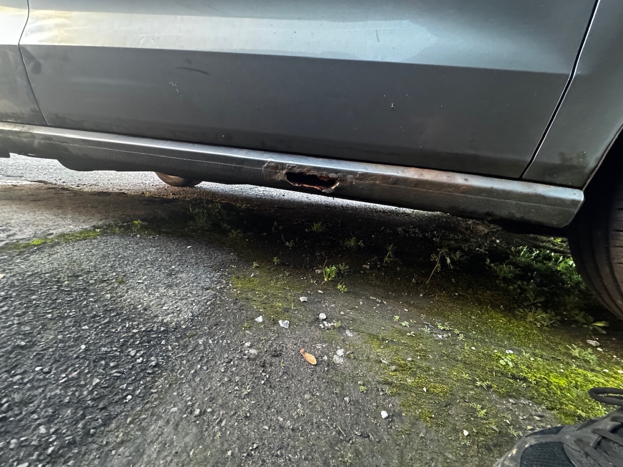 IMG_9635.jpeg IMG_9635.jpeg