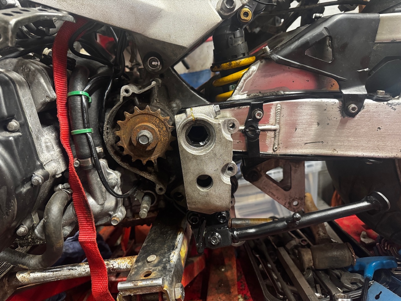 IMG_9674.jpeg IMG_9674.jpeg