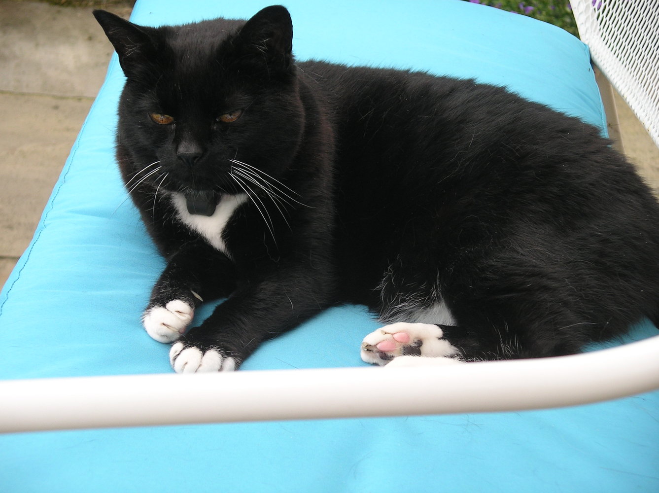 IMGP1095.JPG