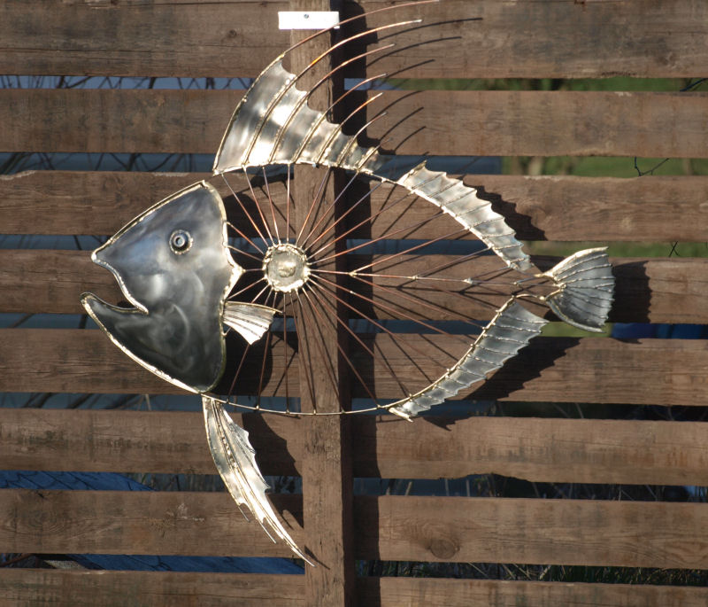 john dory.JPG