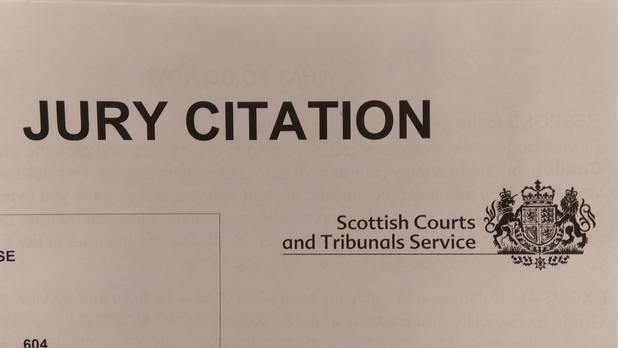 jury.jpeg